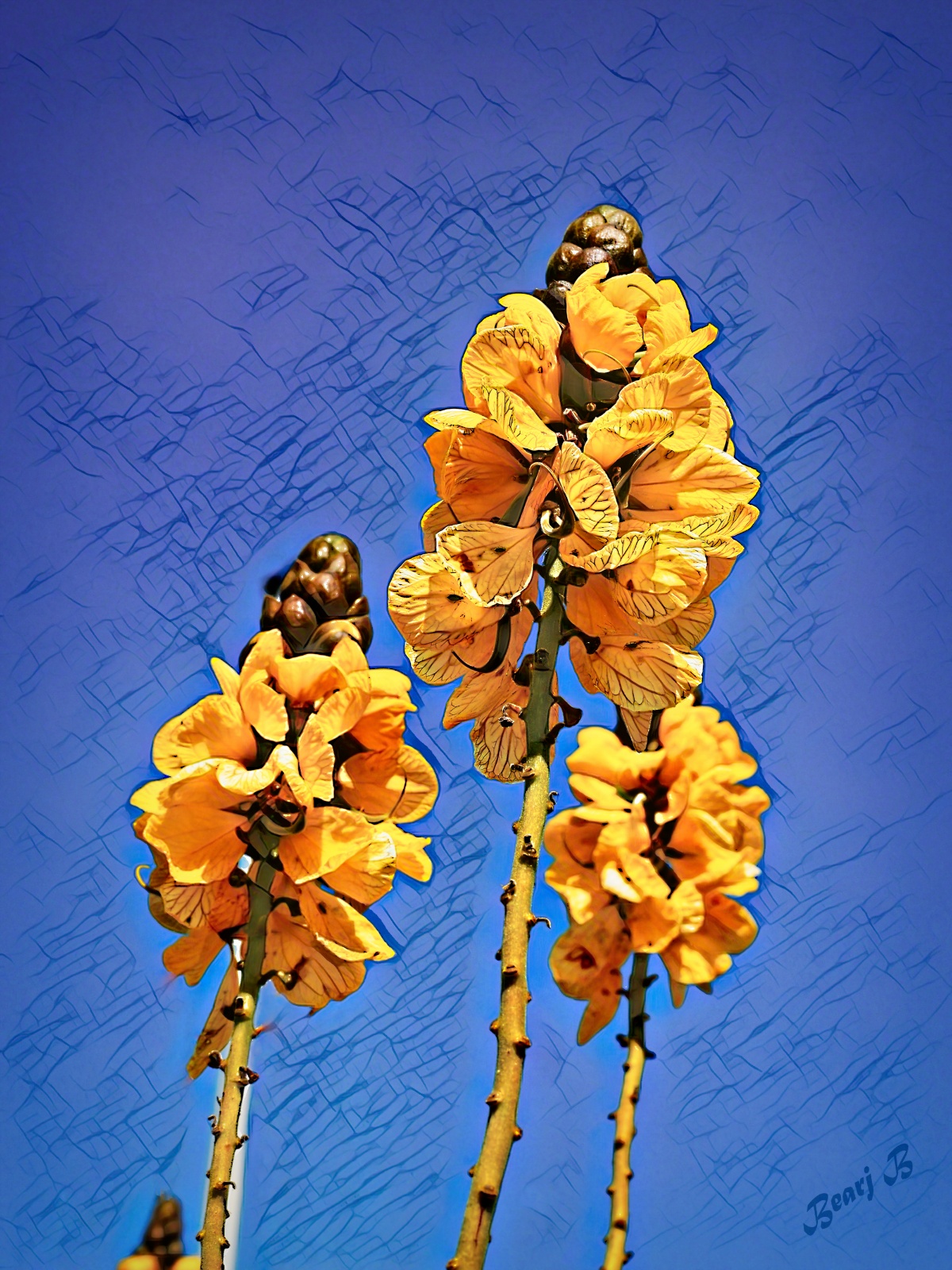 A Study in Yellow and Blue